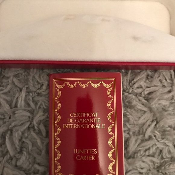 Cartier Sunglasses leather suede case main image 8